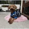 Áo thun polyester cho mèo chó 2-15kg, thoáng khí, giảm rụng lông, sọc xanh mát mẻ 7