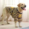 Áo thun sọc chó lớn tay ngắn mỏng thoáng khí, thời trang cả năm – Golden Labrador Samoyed 6