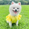 Áo Vest Thú Cưng Vịt Dễ Thương, Mùa Hè Mỏng Thoáng Khí Cho Chó Mèo 3