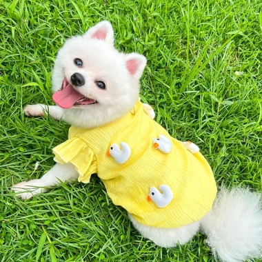 Áo Vest Thú Cưng Vịt Dễ Thương, Mùa Hè Mỏng Thoáng Khí Cho Chó Mèo 4 Áo Vest Thú Cưng Vịt Dễ Thương, Mùa Hè Mỏng Thoáng Khí Cho Chó Mèo 4