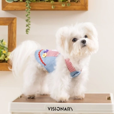 Áo Yếm Jeans Thoáng Khí Dây Dẫn cho Chó Mùa Hè – Nhẹ, Dễ Mặc, Phù hợp Chihuahua, Pomeranian, Shih Tzu Denim 4