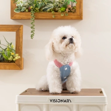 Áo Yếm Jeans Thoáng Khí Dây Dẫn cho Chó Mùa Hè – Nhẹ, Dễ Mặc, Phù hợp Chihuahua, Pomeranian, Shih Tzu Denim 5