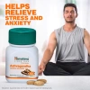 Ashwagandha Himalaya 60 viên Nhân sâm Ấn Độ giảm căng thẳng, tăng sinh lý - Giá giảm 160.000, giá gốc 208.000