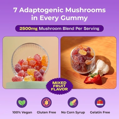 Ashwagandha & Lions Mane Gummies Hữu Cơ - LinhChi, Đông Trùng, Đuôi Thổ Nhĩ Kỳ, Chaga Bảo Vệ Miễn Dịch, Tăng Nhận Thức 3 Ashwagandha & Lions Mane Gummies Hữu Cơ - LinhChi, Đông Trùng, Đuôi Thổ Nhĩ Kỳ, Chaga Bảo Vệ Miễn Dịch, Tăng Nhận Thức 3