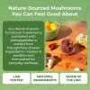 Ashwagandha & Lions Mane Gummies Hữu Cơ - LinhChi, Đông Trùng, Đuôi Thổ Nhĩ Kỳ, Chaga Bảo Vệ Miễn Dịch, Tăng Nhận Thức 7