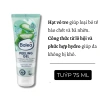 [auth] Hàng nội địa Đức Đủ Bill Tẩy da chết mặt Balea 75ml - Giá ưu đãi 68.000₫ 6
