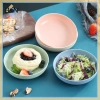 B & N Bộ 5 Đĩa Rơm Lúa Mì Bắc Âu - Đĩa Trái Cây & Rau, Giá Ưu Đãi 61.416₫ 3