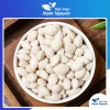 Bạch quả khô 1kg hạt to – Nguyên liệu chè, chưng yến, hầm gà, tăng sức khỏe, giá 120.000 VND