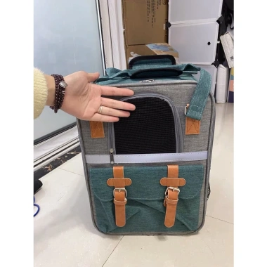 Balo big size cho thú cưng Golden Pet mẫu mới, siêu rộng, giảm giá 23% - phù hợp đi du lịch