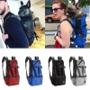 Balo đeo bé chó to 8-20kg – Siêu nhẹ, thoải mái, giá chỉ 380.000đ (giá gốc 482.600đ)