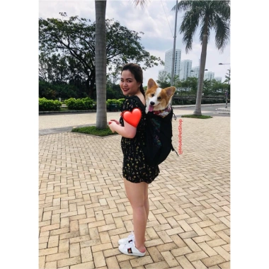 Balo đeo bé chó to 8-20kg – Siêu nhẹ, thoải mái, giá chỉ 380.000đ (giá gốc 482.600đ) 4 Balo đeo bé chó to 8-20kg – Siêu nhẹ, thoải mái, giá chỉ 380.000đ (giá gốc 482.600đ) 4