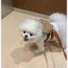 Balo gấu nâu cute đi chơi, đựng đồ kèm dây đắt cho thú cưng - Giá giảm 20% 3