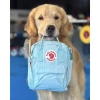 Balo Kanken Size S M - Đựng Laptop, Đi Học, Dã Ngoại, Chống Nước, 215.000 VND 7