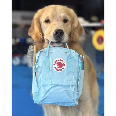 Balo Kanken Size S M - Đựng Laptop, Đi Học, Dã Ngoại, Chống Nước, 215.000 VND 7