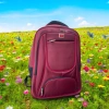 Balo Laptop 17 inch đa ngăn, sức chứa 7-10kg, size lớn 48x34x17 - Giá chỉ 219.000₫ 3