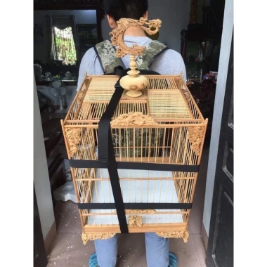 Balo lồng chim chào mào - hộp kín, cửa lưới, dây điều chỉnh, khóa chắc chắn, 72k 6