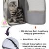 Balo Luna Pet BL20 trong suốt chịu 8kg – Vận chuyển chó mèo lớn, an toàn, giá 329k 4