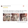 Balo Mickey vải chuột độc lạ cho bé Cặp sách đi học du lịch hot giảm giá 299k 2.023 5