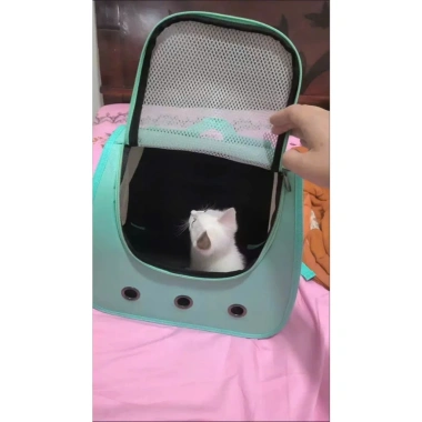 Balo vải đơn sắc cho chó mèo - mẫu mới Mina Pet, giá ưu đãi 78.000₫ 6