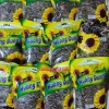 Bán buôn 5 gói hạt hướng dương 500gr – Nguyên vị, vị dừa, hạt bí, đỗ tương | Gấu Mart 52.800đ 4
