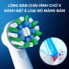 Bàn chải điện Oral-B Vitality Everyday Clean D12.513 - Hàng chính hãng, Giá chỉ 799.000₫ 2