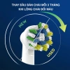 Bàn chải điện Oral-B Vitality Everyday Clean D12.513 - Hàng chính hãng, Giá chỉ 799.000₫ 3
