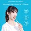 Bàn chải làm sạch lưỡi miệng PCHM - Loại bỏ mùi hôi, bảo vệ sức khỏe miệng, giá chỉ 62.160₫
