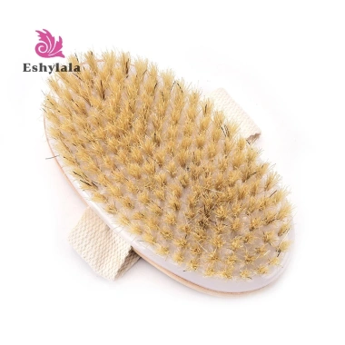 Bàn chải lông tự nhiên toàn thân da khô mềm massage tắm nhà, giá ưu đãi 69.552₫ 4