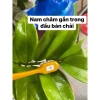 Bàn chải từ tính BIS UP siêu mềm chính hãng Hàn Quốc Giá ưu đãi 48.500đ 5