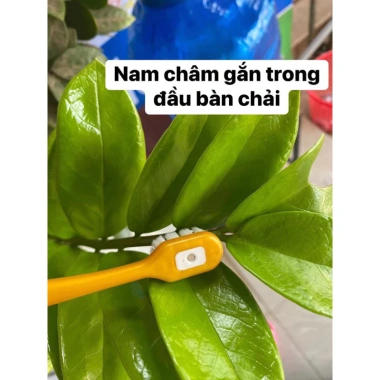 Bàn chải từ tính BIS UP siêu mềm chính hãng Hàn Quốc Giá ưu đãi 48.500đ
