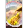 Bán chạy Combo Bánh Tráng MINI Bơ 10-20 - ủ Bơ, Muối Nhuyễn, Bơ Trứng Siêu Ngon, Giá Ưu Đãi 36.000đ 5
