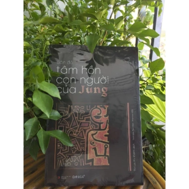 Bản Đồ Tâm Hồn Con Người Của Jung (Omega+) - Sách Giá 170.000đ, Khám Phá Tâm Lý Jung 3