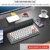 Bàn Phím Bluetooth ZiyouLang 308i Nhỏ Gọn, Không Dây, Win/Mac, Giá 479k 9
