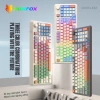 Bàn Phím Chống Ồn XUNFOX Có Dây Đèn RGB và Nút Âm Lượng - Giảm Giá Đặc Biệt 249k 2