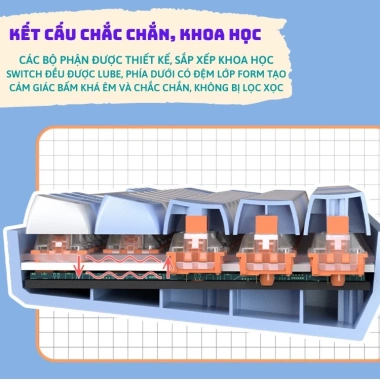 Bàn Phím Cơ Bluetooth LANGTU GK85 - Không Dây, 3 Chế Độ Kết Nối, Đèn LED D01, Giá Ưu Đãi 689.000 VND