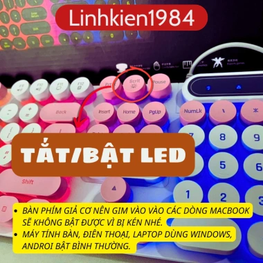 Bàn phím gaming giả cơ YINDIAO PK100 có dây, nút tròn, LED RGB, chống nước, Game & Văn phòng 3