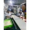 Bán sỉ 50 bịch bánh bò pía đậu xanh và bánh đa nem cuốn chả giò – Giá chỉ 263.000 VNĐ, giảm mạnh 5