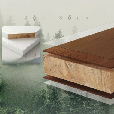 Bàn Trà Tròn Gỗ Cao Cấp - Thiết Kế Tối Giản, 3 Size Ø50/60/70cm, Nâu Cà Phê, Chịu Lực 250kg - Giá 704.000₫ 6