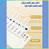 Bảng Checklist Trẻ Bee Edu - Todolist Theo Dõi Công Việc Hàng Ngày, Giá 15.900đ 9