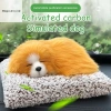 Bảng Điều Khiển Ô Tô DIAPER CORED - Đồ Trang Trí Dễ Thương Mèo Chó, Giá 103.400 VND 3