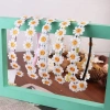 Băng Đô HYCEO Daisy Boho Sang Trọng - Trang Trí Tóc Nữ, Giá Giảm 45.360 VND 6