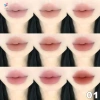 Bảng màu 9 Màu Matte Velvet Lip Mud - Lip và Cheek Dual Use Lady Beauty, Giá 51.700₫ 2