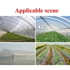 Băng tự dính PE 10m cho nhà kính, sân vườn – Chống UV, chống thấm, bảo vệ dụng cụ, giá 53.697₫ 6