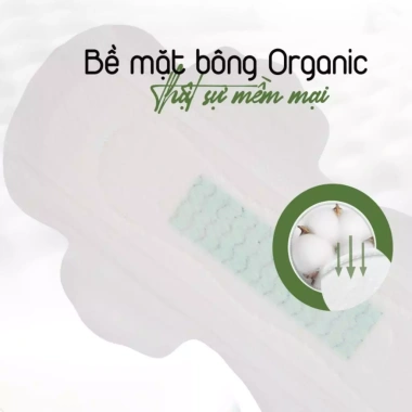 Băng vệ sinh ban đêm Yeonchi Organic 6 tấm 29cm siêu mỏng cánh rộng 160mm từ Hàn Quốc An tâm giấc ngủ