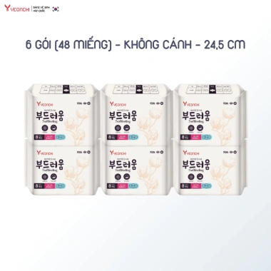 Băng vệ sinh ban ngày Yeonchi 245mm không cánh - Siêu thấm hút, khô thoáng, 6 gói 130k