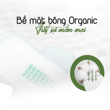 Băng vệ sinh Yeonchi Organic sợi bông siêu thấm, siêu mỏng - Giá chỉ 27.000₫ 3