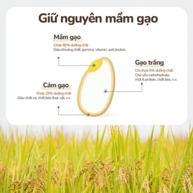 Bánh ăn dặm gạo lứt ALADDINVINA bổ sung lợi khuẩn Lusol - Giá 49.000₫ 9