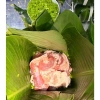 Bánh Chưng Tươi Tiệt Trùng Cô Hương Béo 1.200g - Giá 140k, Ngon Lạ, Bảo Quản Dễ 5