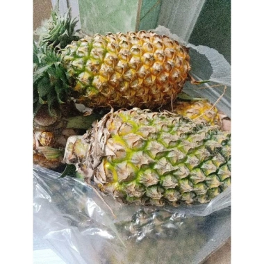 Bánh dứa 1kg vỏ mềm thơm bơ - Giảm giá chỉ 350.000 đồng, ngon, mềm, thơm ngậy