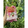 Bánh in bịt 5 cái 4 vị: khoai môn, đậu xanh, lá dứa, sầu riêng - Giá chỉ 39.000đ 4